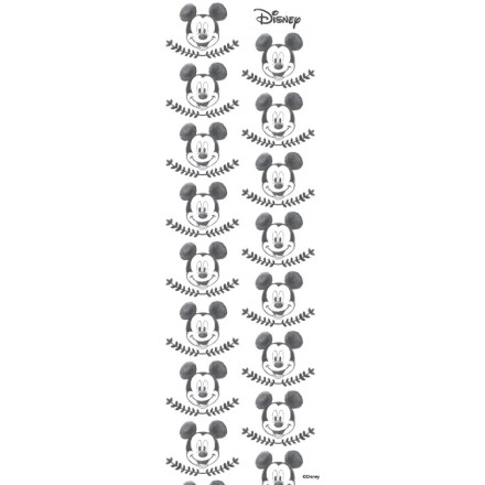 Black and White Mickey