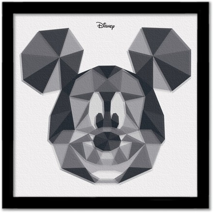Το πρόσωπο του Mickey Mouse!