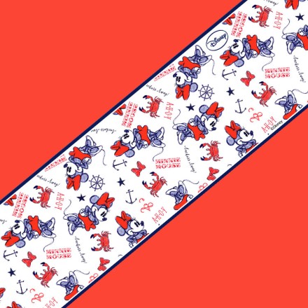 Pattern Ahoy Minnie Mouse! Μπορντούρα