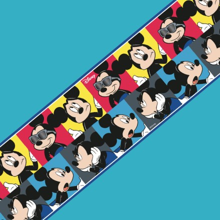Τα συναισθήματα του Mickey Mouse! Μπορντούρα