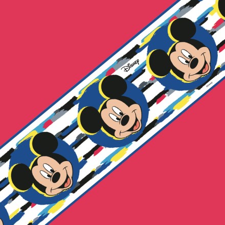 Ο Mickey Mouse!! Μπορντούρα