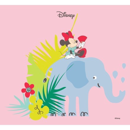 Minnie with elephant