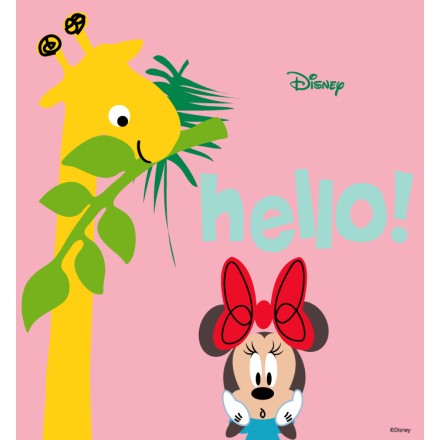 Hello Minnie