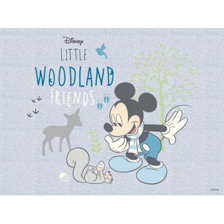 Wookland, Mickey Mouse