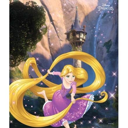 Rapunzel, Princess