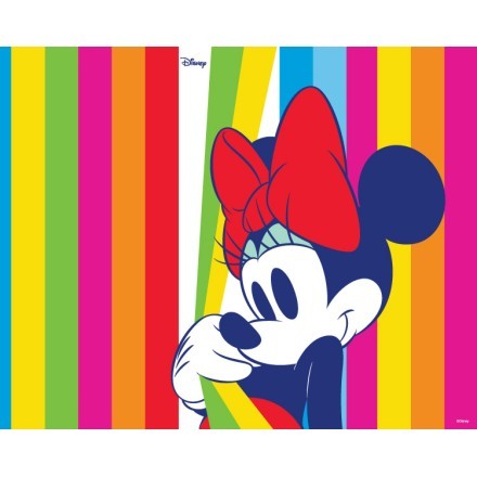 Minnie Mouse σε πολύχρωμο μοτίβο