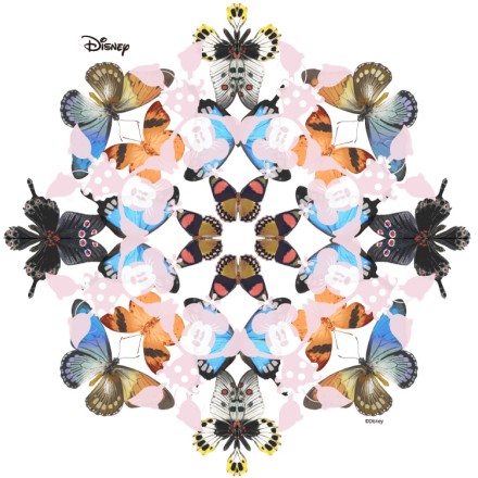 Butterfly,Minnie Mouse
