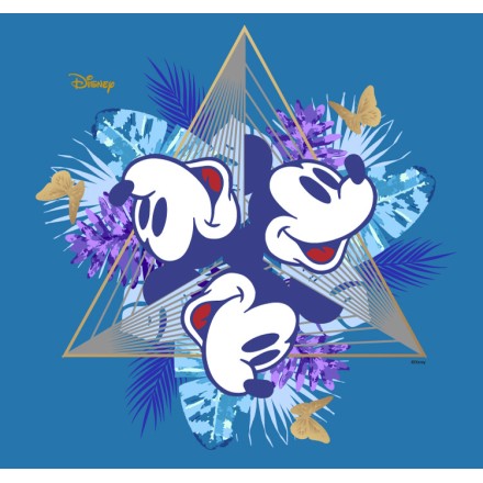 Mickeys Face