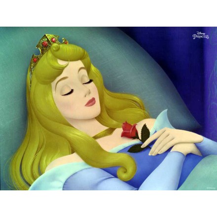 Η όμορφη Cinderella , Ptincess