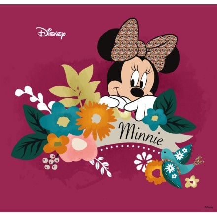 Γεια σου Minnie Mouse!
