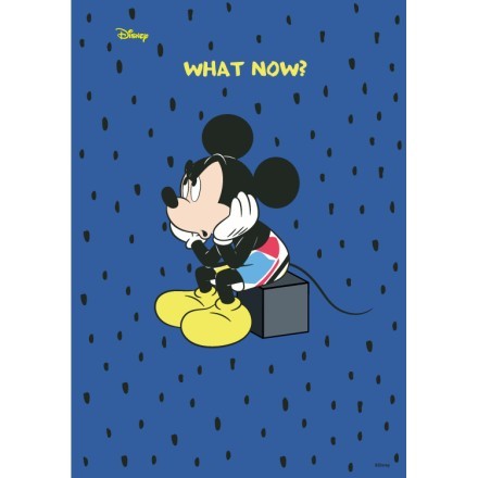 What Now? Mickey Mouse