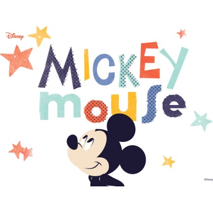 MiCkEy mOuSe !