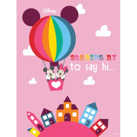 Soaring by to say hi! Mickey and Minnie