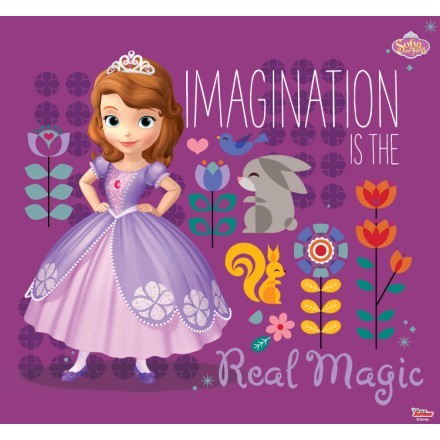 Imagination is the real magic, Sofia the first