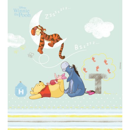 Winnie the Pooh & Friends