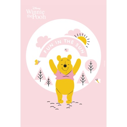 Fun in the sun, Winnie the Pooh