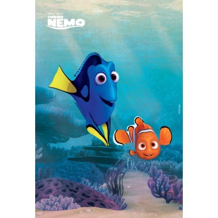 Dory and Nemo , Finding Dory