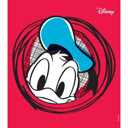 Face of Donald Duck