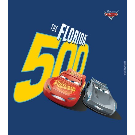 The Florida 500, Cars