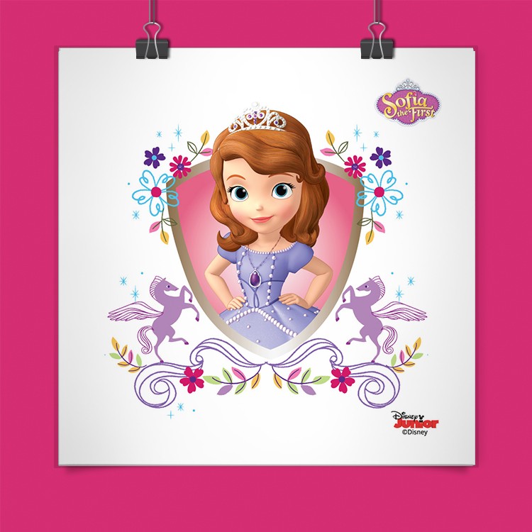 Πόστερ Sofia the First!!!