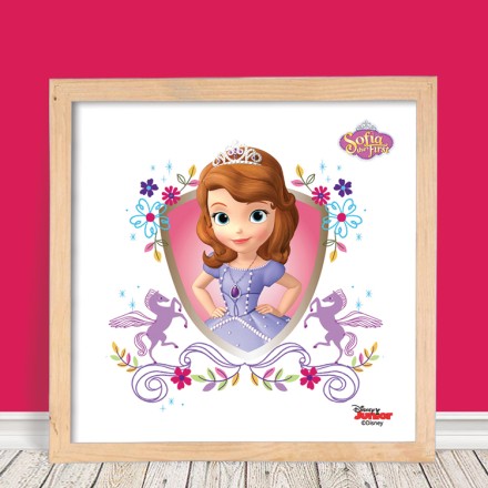 Sofia the First!!!