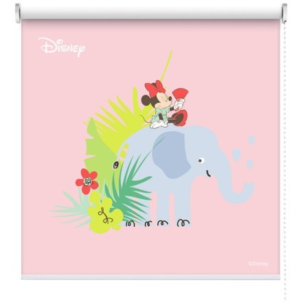 Minnie Mouse with elephant