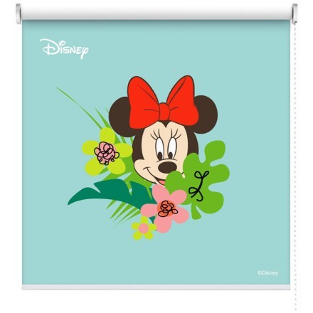 Minnie Mouse και όμορφα λουλούδια