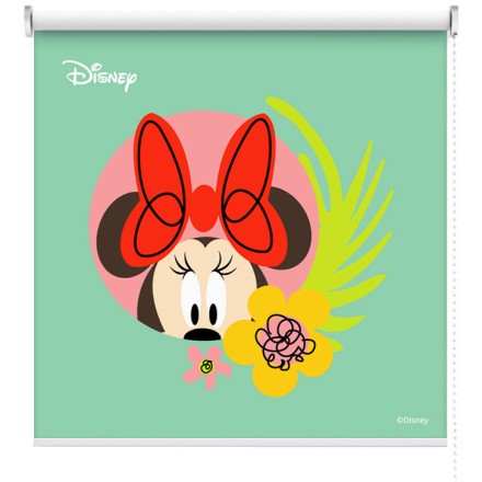 Minnie Mouse!!