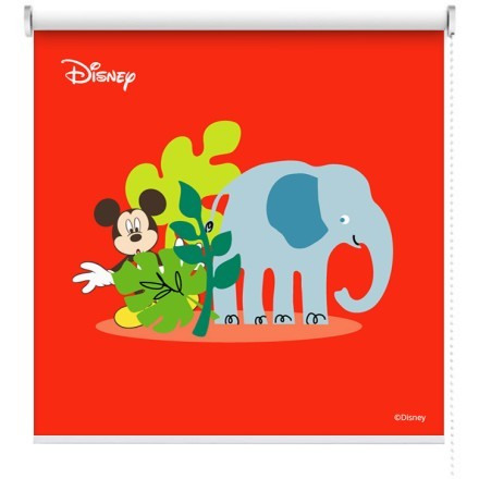 Mickey Mouse into the jungle
