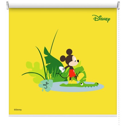 Mickey Mouse περπατάει ανάμεσα σε λουλουδάκια