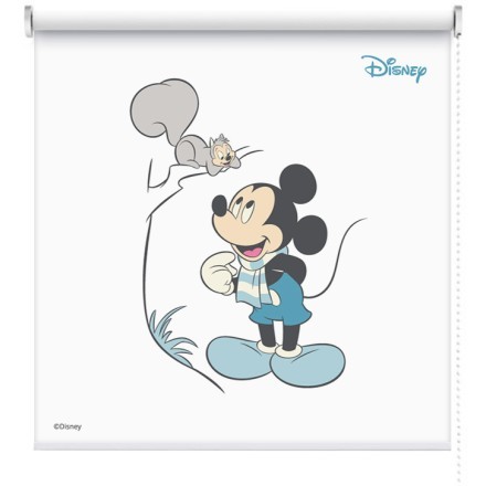 Mickey Mouse με σκιουράκι