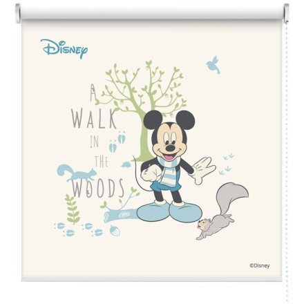 Walk in the woods, Mickey Mouse Ρολοκουρτίνα - Ρόλερ Σκίασης