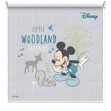Wookland, Mickey Mouse