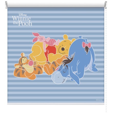 Winnie is sleeping Ρολοκουρτίνα - Ρόλερ Σκίασης