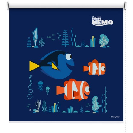 Οι χαρούμενοι Dory, Nemo και Marlin, Finding Dory