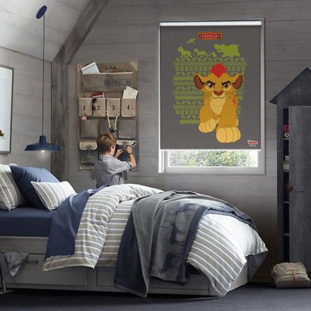 Kion ,The Lion Guard