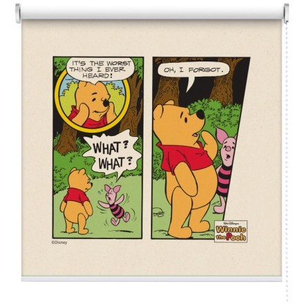 Ο Winnie the Pooh ξέχασε τί του είχαν πει