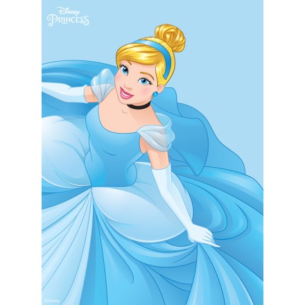 Cinderella, Princess!