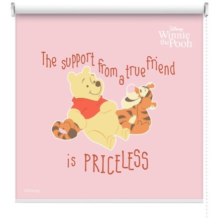 The support from a true friend is priceless, Winnie The Pooh