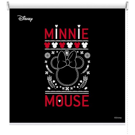 Minnie Mouse!!