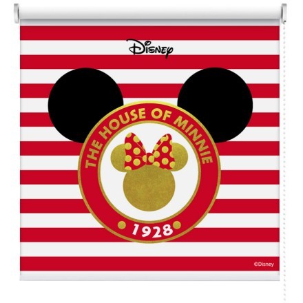 The House Of Minnie Mouse