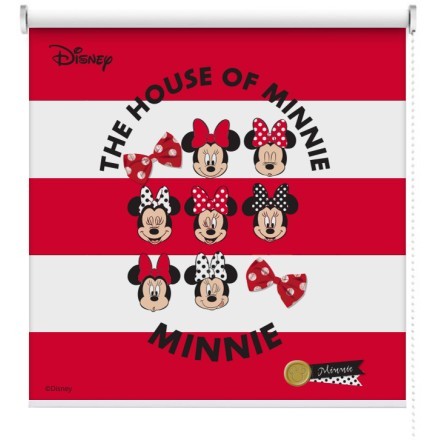 The House Of Minnie Mouse
