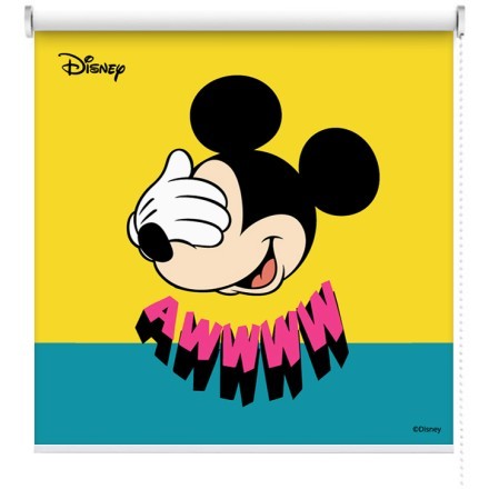 AWWW, Mickey Mouse
