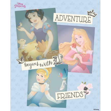Friends, Princess