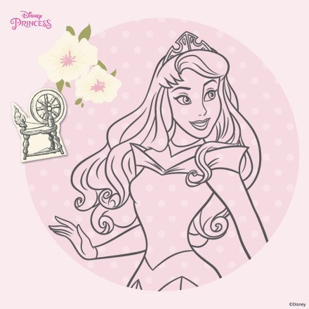 Όμορφη Cinderella, Princess