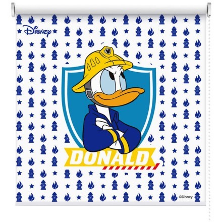 Donald Duck, μέλος της ομάδας διάσωσης