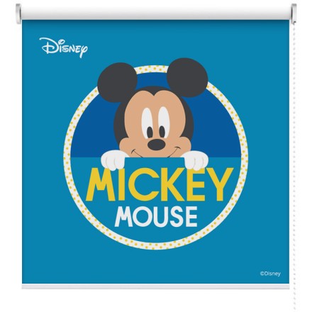 Mickey Mouse!