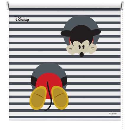Mickey Mouse, πατουσάκια