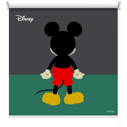 Η φιγούρα του Mickey Mouse!!