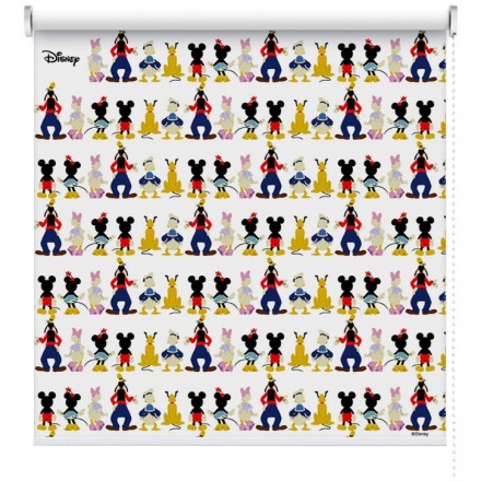 Όλη η παρέα του Mickey & Minnie Mouse!